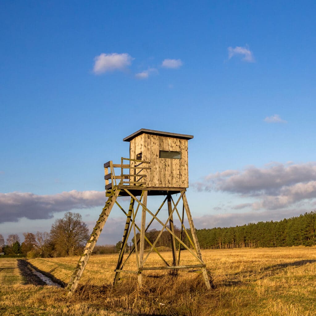 Hochsitz aus Holz mit Leiter und geschlossener Kanzel auf einem Feld vor einem Waldrand